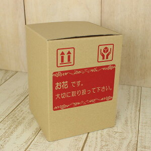 ԗpz{bNXMi͂ȂǂIWijy01z[10] bsOpi A _{[Ez _{[