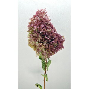 yhCzRAg[fBO/~idLE 1{ i`/17176y10z hCt[ hCt[ԍ izԁj