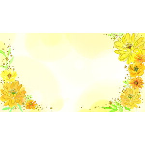 `LEO[eBOX/MtgJ[h ړI 50/G-525y01z bsOpi A bZ[WJ[h O[eBOJ[h