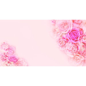 `LEO[eBOX/MtgJ[h ړI 50/G-287y01z bsOpi A bZ[WJ[h O[eBOJ[h