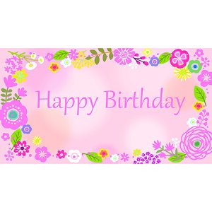 `LEO[eBOX/MtgJ[h o[XfC 50/G-673y01z bsOpi A bZ[WJ[h aEo[Xf[J[h