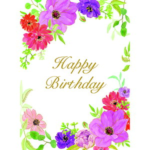 `LEO[eBOX/o[XfCJ[h/B220-120y01z[5] bsOpi A bZ[WJ[h aEo[Xf[J[h