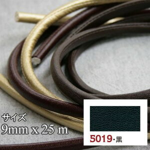 NBK{Rtf/CtFAcR[h@[v 9mm×25m /S09-5019y10z |pi [XE{Ee[vER[h e[vER[h  ޗ