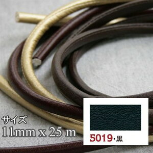 ATq/CtFAcR[h@[v 11mm×25m /S11-5019y10z |pi [XE{Ee[vER[h e[vER[h  ޗ