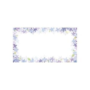 `LEO[eBOX/MtgJ[h ړI 50/G-242y01z bsOpi A bZ[WJ[h O[eBOJ[h