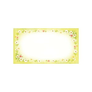 `LEO[eBOX/MtgJ[h ړI 50/G-250y01z bsOpi A bZ[WJ[h O[eBOJ[h