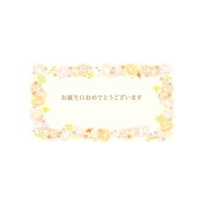 `LEO[eBOX/MtgJ[h a 50/G-138y01z bsOpi A bZ[WJ[h aEo[Xf[J[h