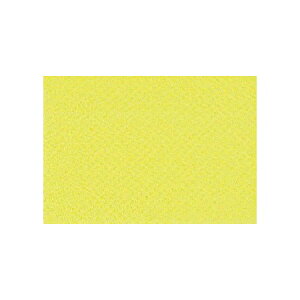 `LEO[eBOX/vCXJ[hL sX^`I 100/PL-03y01z bsOpi A bZ[WJ[h O[eBOJ[h