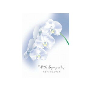 `LEO[eBOX/݃J[h/G200-238y01z[5] bsOpi A bZ[WJ[h O[eBOJ[h