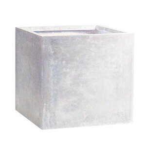 yzNC/TERRA-MENT_Cube 22 WHITE/910-100-101y01z K[fjOE|pi AؔEt[|bg OXt@Co[