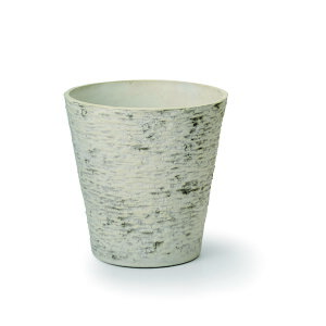 Aؔ  FV/i`[uT[NSW/AK173y01z K[fjOE|pi t[|bg 