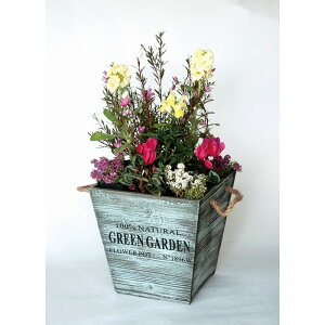 ラベンダー 鉢の人気商品 通販 価格比較 価格 Com