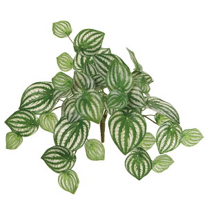 yԁzMAGIQ/yy~AoC O[/FG008799y01z ԁiA[eBtBVt[j ԗtAtFCNO[ ̑̑ԗtEtFCNO[