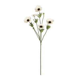 yԁzMAGIQ/u[YAllXv[ 1 zCg/FM004186-001y01z ԁiA[eBtBVt[j  ԍށusv All