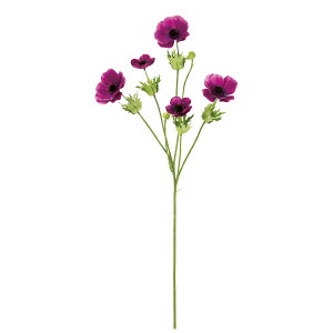 yԁzMAGIQ/u[YAllXv[ 17 p[v/FM004186-017y01z ԁiA[eBtBVt[j  ԍށusv All