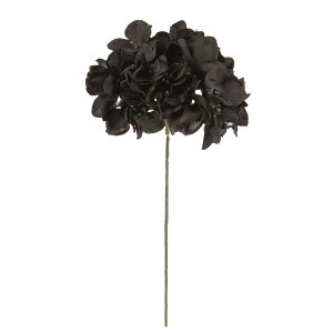 yԁzMAGIQ/AXnChWA 20 ubN/FM025048-020y01z ԁiA[eBtBVt[j  ԍށusv izԁj