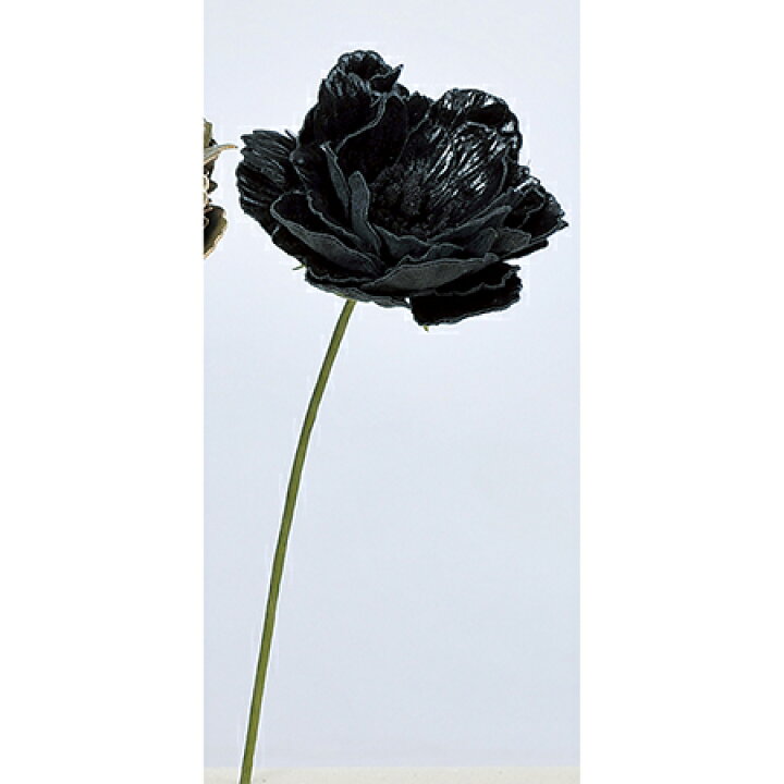 楽天市場 造花 アスカ ピオニーピック 100 ブラック A 100 01 取寄 造花 アーティフィシャルフラワー 造花 花材 さ行 シャクヤク 芍薬 ボタン 牡丹 ピオニー 手作り 材料 花材通販はなどんやアソシエ 楽天市場 造花 アスカ ピオニーピック 100 ブラック A 100 01 取寄 造花 アーティフィシャルフラワー 造花 花材 さ行 シャクヤク 芍薬 ボタン 牡丹 ピオニー 手作り 材料 花材通販はなどんやアソシエ