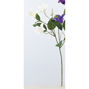 yԁzAXJ/N}`X×3 ڂ×1 001 zCg/A-33248-1y01z ԁiA[eBtBVt[j  ԍށusv N}`X