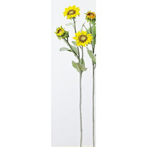 yԁzAXJ/Tt[ 010 CG[/A-33361-10y01z ԁiA[eBtBVt[j  ԍށu͍sv Ђ܂