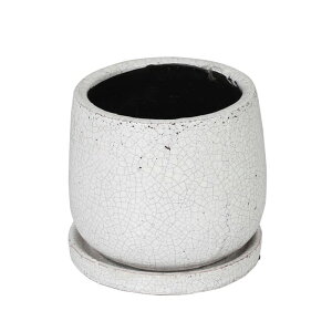 _g/OCYh|bg Eh zCg L/K655-851LWTy08z K[fjOE|pi AؔEt[|bg Zg