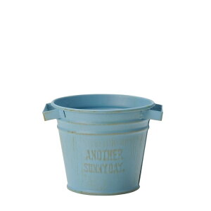 GREENHOUSE/pXeuL u[/4143-BLy01z[4] K[fjOE|pi AؔEt[|bg ACAEuL