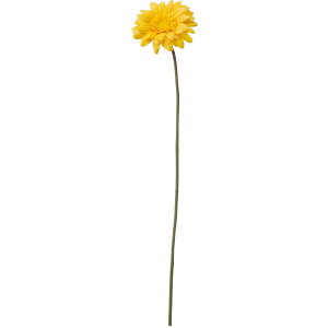 yԁzYDM/K[x CG[/FA-7158-Yy01z ԁiA[eBtBVt[j  ԍށusv K[x