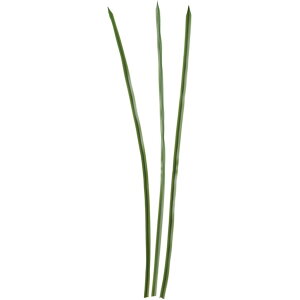 �y���ԁzYDM/�\�[�h�����O���[�t×3 �O���[��/FG-4847-GR�y01�z ���ԁi�A�[�e�B�t�B�V�����t�����[�j �t���A�t�F�C�N�O���[�� ���̑��̗t���E�t�F�C�N�O���[�� �t�F�C�N�O���[�� �C���e���A ��