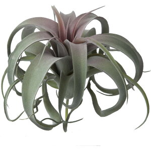 yԁzYDM/J[[`WA bhO[/GL-5137-R/Gy01z ԁiA[eBtBVt[j ԗt GAvc