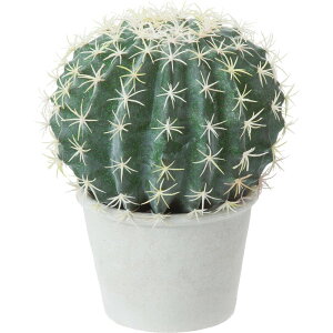 �y�l�H�ϗt�A���zYDM/�{�[���T�{�e���|�b�g �O���[��/GLA-1430-GR�y01�z ���ԁi�A�[�e�B�t�B�V�����t�����[�j ���ԗt�� ���ԁE�l�H�ϗt�A�� ���|�b�g