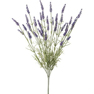 yԁzYDM/x_[ubV p[v/FB-2468-PUy01z ԁiA[eBtBVt[j  ԍށusv x_[