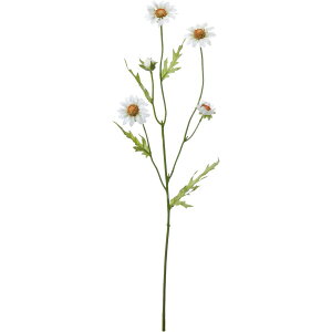 yԁzYDM/}[KbgXv[ zCg/FA-7137-Wy01z ԁiA[eBtBVt[j  ԍށu܍sv }[Kbg