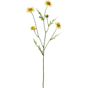 yԁzYDM/}[KbgXv[ CG[/FA-7137-Yy01z ԁiA[eBtBVt[j  ԍށu܍sv }[Kbg