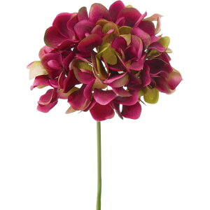 yԁzYDM/nChWAsbN o[KfB[/FA-7163-BURy01z ԁiA[eBtBVt[j  ԍށusv izԁj