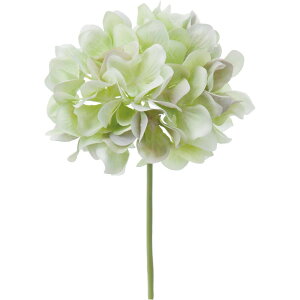 yԁzYDM/nChWAsbN O[x_[/FA-7163-G/Ly01z ԁiA[eBtBVt[j  ԍށusv izԁj