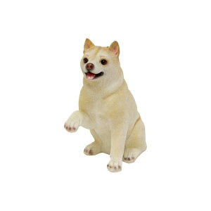 ۘaf/`AttY Č̃JC /100381702y07z K[fjOE|pi K[fjOG݁EI[ig uEI[ig