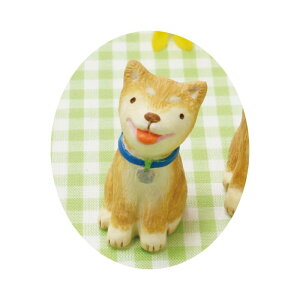 ۘaf/m[eB[K[f Č iSj/400838801y07z[12] ԎށEt[Xg fR[Vp[cEf ʂ/l`