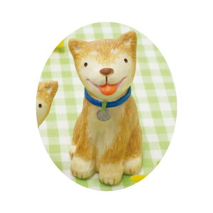 ۘaf/m[eB[K[f Č iLj/400838802y07z[6] ԎށEt[Xg fR[Vp[cEf ʂ/l`