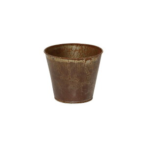 ۘaf/t[eC[Y |bg3.5 XeB[/400843502y07z[2] ԊA[X ԊEԕr uLEACA