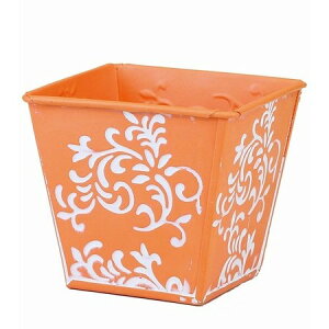 LittleGarden/AeB[NuLobNS}bgJ[ IW/ux2933y01z ԊA[X ԊEԕr uLEACA