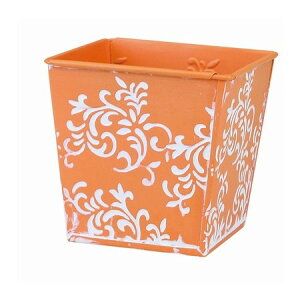 LittleGarden/AeB[NuLobNM}bgJ[ IW/ux2943y01z ԊA[X ԊEԕr uLEACA