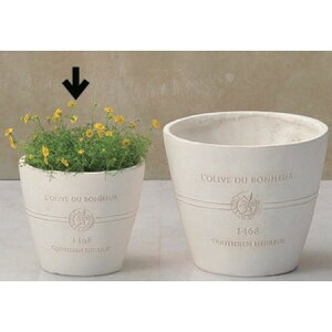 Aؔ  FV/{k[I[uT[NSW/GF2237y01z K[fjOE|pi t[|bg OXt@Co[