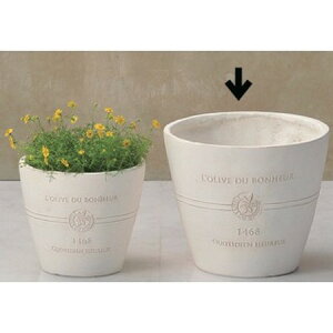 Aؔ  FV/{k[I[uT[NMW/GF2240y01z K[fjOE|pi t[|bg OXt@Co[