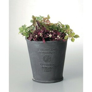 Aؔ  FV/{k[I[uT[NOSB/GF2254y01z K[fjOE|pi t[|bg OXt@Co[