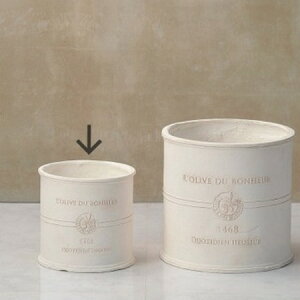 Aؔ  FV/{k[I[uEhSW/GF2243y01z K[fjOE|pi t[|bg OXt@Co[