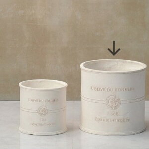 Aؔ  FV/{k[I[uEhMW/GF2246y01z K[fjOE|pi t[|bg OXt@Co[