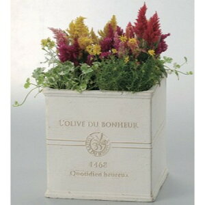 Aؔ  FV/{k[I[uXNGASW/GF2258y01z K[fjOE|pi t[|bg OXt@Co[