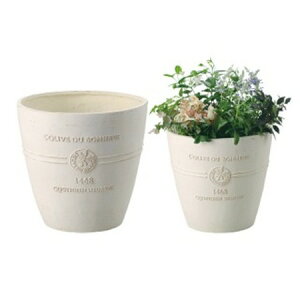 Aؔ  FV/{k[I[uO2_ZbgW/GF2279y01z K[fjOE|pi t[|bg OXt@Co[