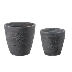 Aؔ  FV/{k[I[uO2_ZbgB/GF2281y01z K[fjOE|pi t[|bg OXt@Co[