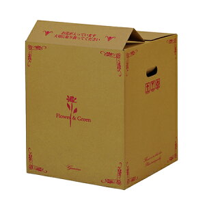 �y�Ζ����ӃZ�[���z�y�����zGracias/��z�{�b�N�X�i��J���^�C�v�j �A�����W L/73113���ԕi�E�L�����Z���s�y01�z[30��] ���b�s���O�p�i �A����� �_���{�[���E��z�� �_���{�[��