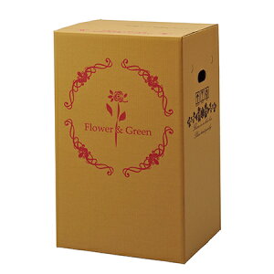 �y�Ζ����ӃZ�[���z�y�����zGracias/��z�{�b�N�X�i���J���^�C�v�j �����p P-2/73102���ԕi�E������s�y01�z[25��] ���b�s���O�p�i �A����� �_���{�[���E��z�� �_���{�[��